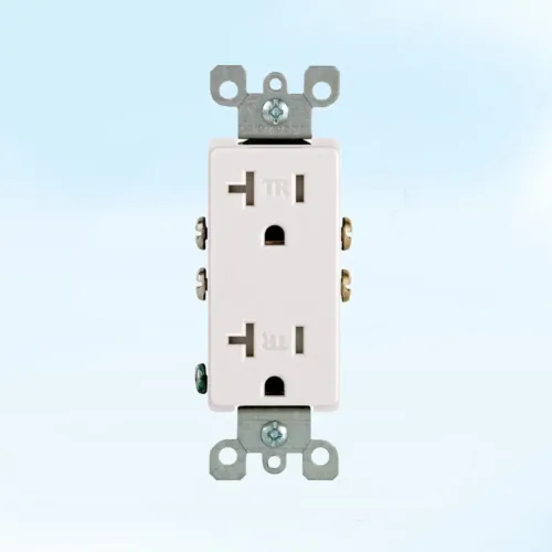 20A Standard Electrical Outlet
